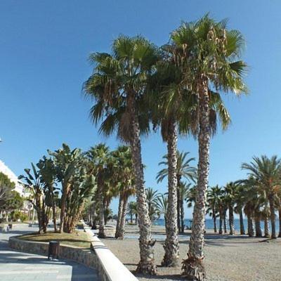 Sunshine Apartment At Tropical Coast Of Granada Альмуньекар Экстерьер фото